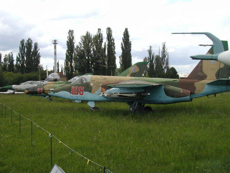 UKRAINE 2006238