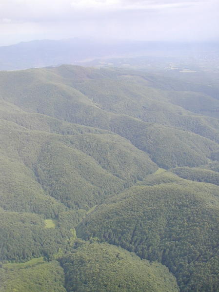 UKRAINE 2006119