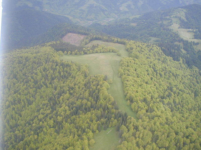 UKRAINE 2006132